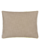 CARTOUCHE MOSS VELVET 60X45CM