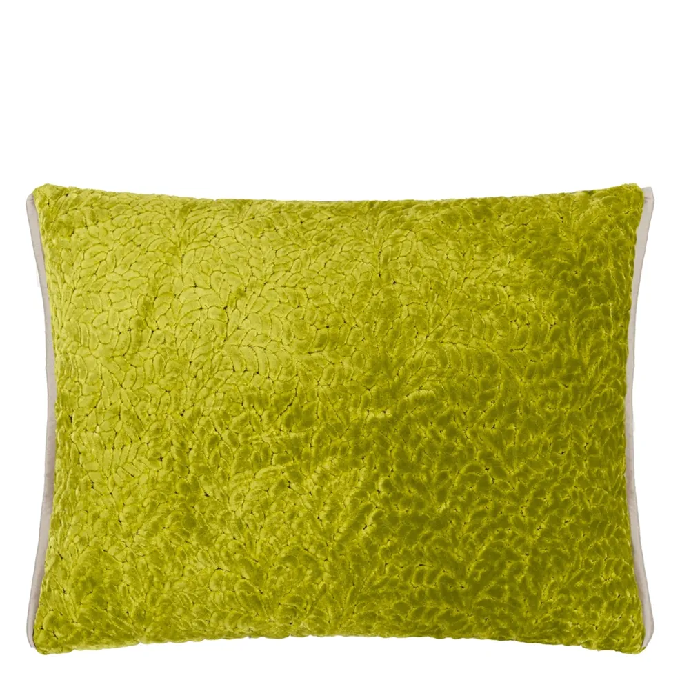 CARTOUCHE MOSS VELVET 60X45CM