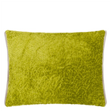 CARTOUCHE MOSS VELVET 60X45CM