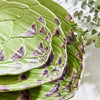 Artichoke Naturalist Pasta Bowl 35.5 Alcachofra