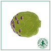Artichoke Naturalist Dinner Plate 31.5 Alcachofra