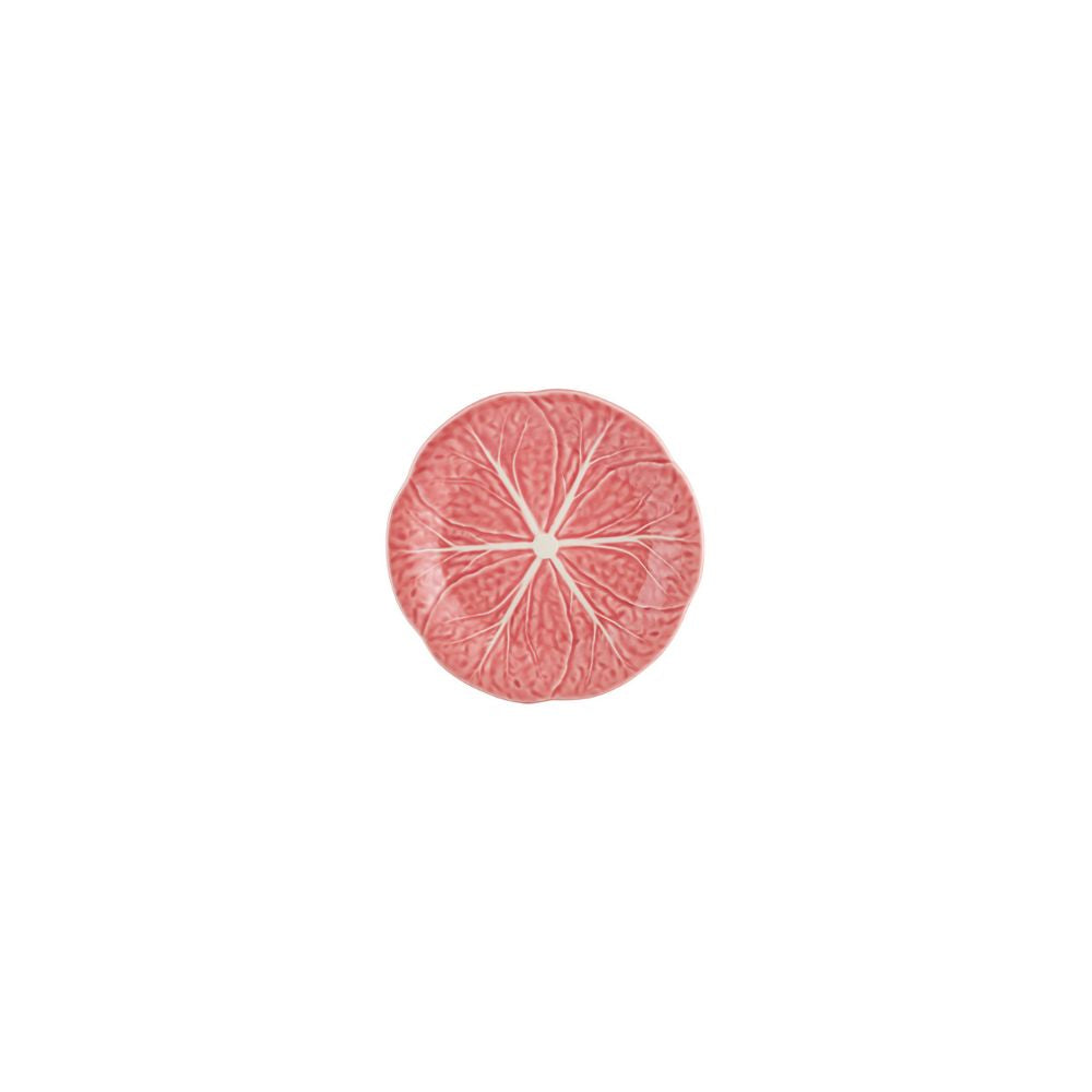 PLATE 19 CABBAGE ROSE
