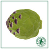Artichoke Naturalist Platter 41 Alcachofra
