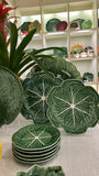 Cabbage - Salad Bowl 32,5 Natural