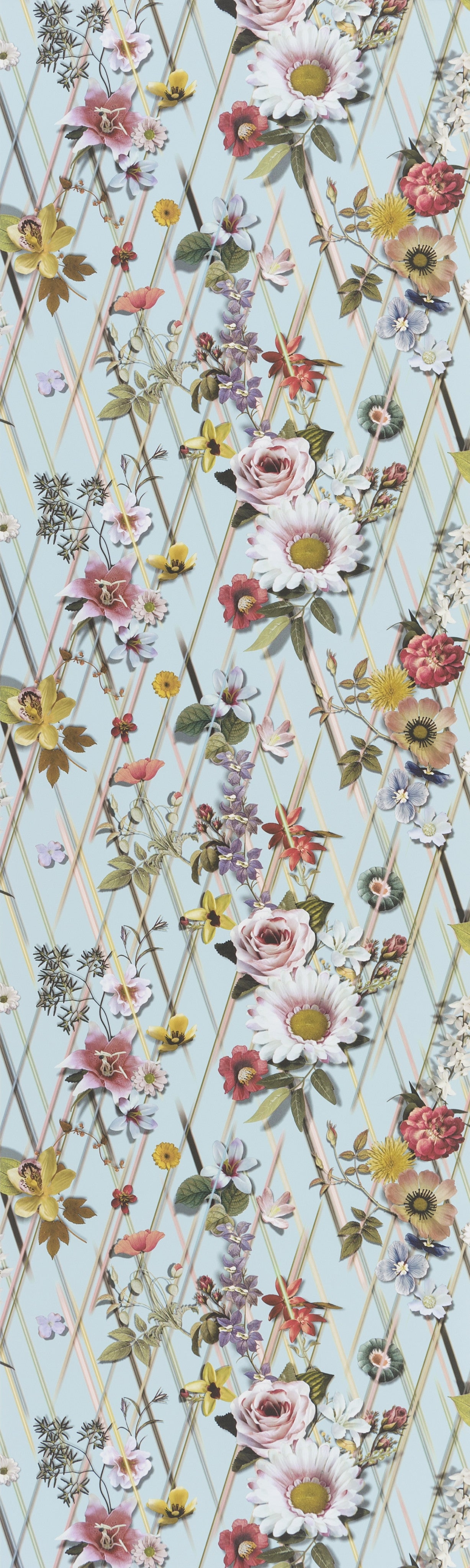 Wallpaper Rocaille Aqua | Christian Lacroix full