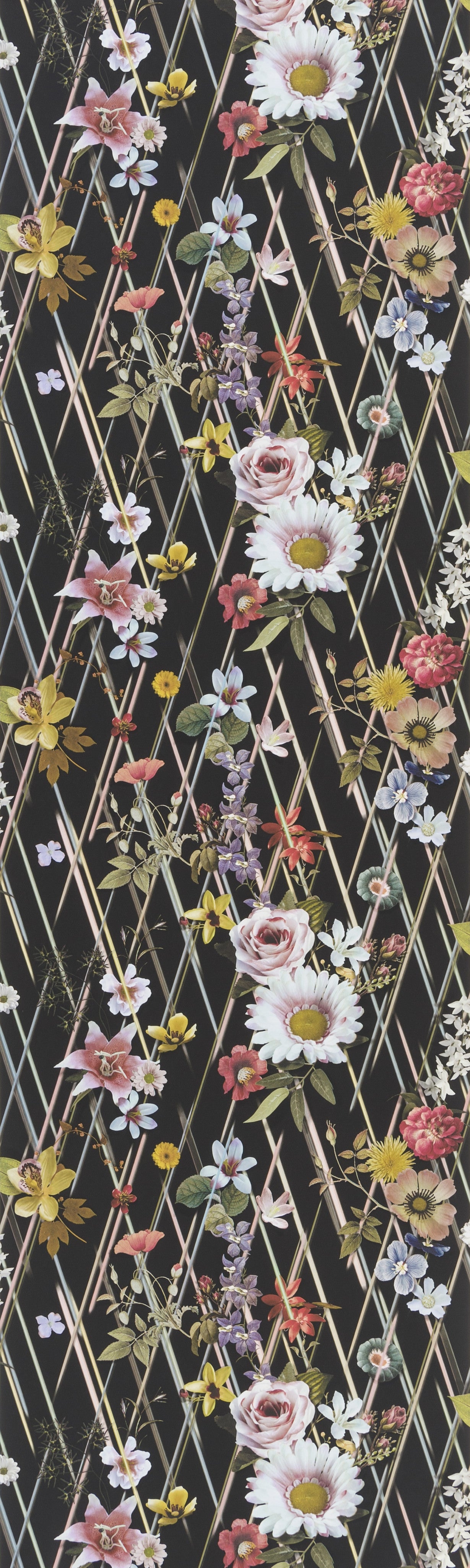 Wallpaper Rocaille Nuit | Christian Lacroix full