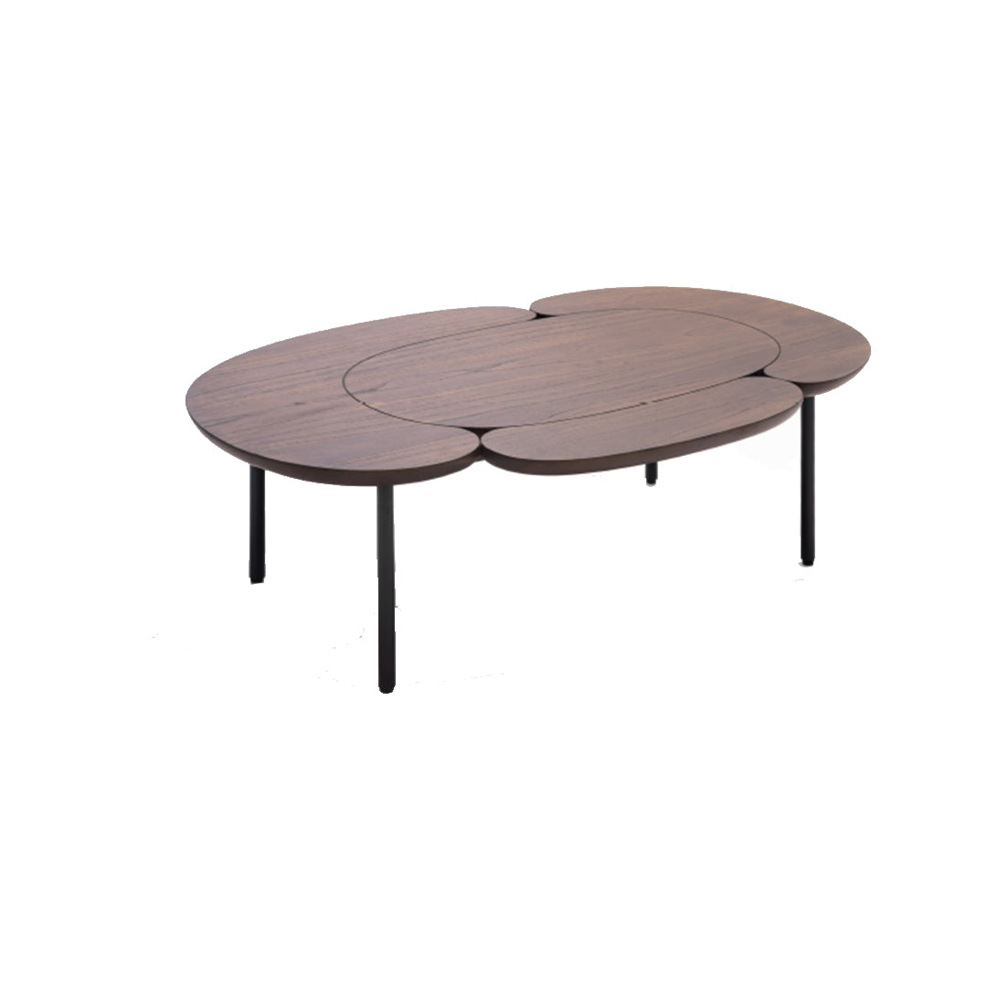 Toubou Coffee Table