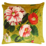 CAMELLIA VELOURS MIMOSA 50X50CM