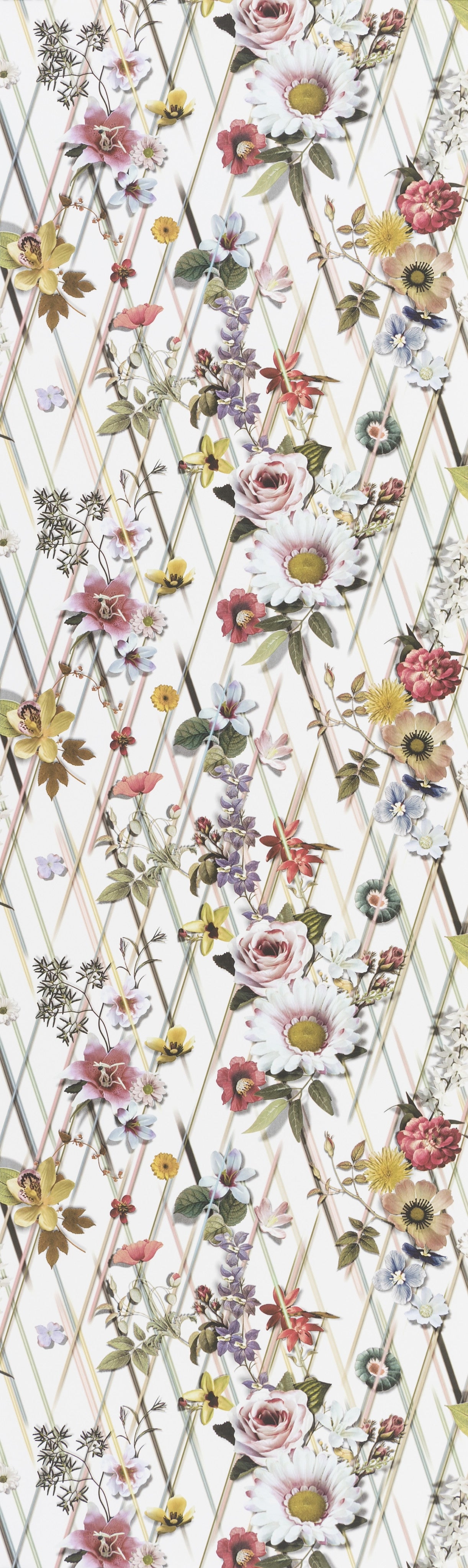 Wallpaper Rocaille Jour | Christian Lacroix full