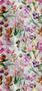 Wallpaper Tulipa Stellata Fuchsia